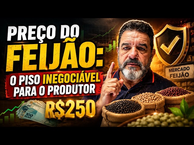Preço do feijão: o piso inegociável para o produtor.