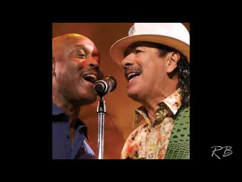 Tony Lindsay  Spread Your Wings