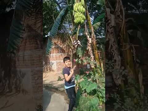 fuuny videos Tanzil