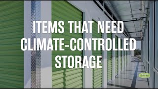 Items that Need Climate-Controlled Storage