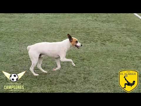 COPA NACIONAL DE CAMPEONES. SEMI FINAL 5L - UEFAU (Selección Uruguaya)