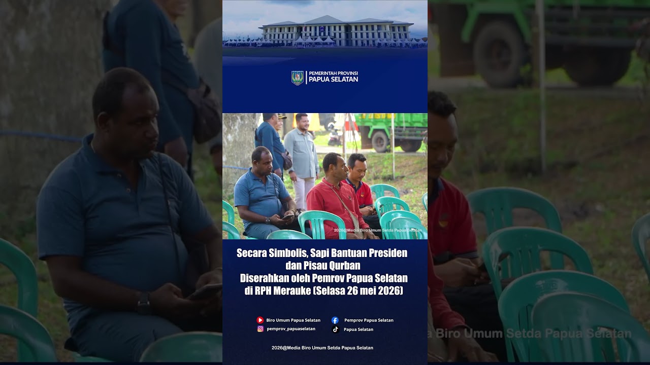Sapi Bantuan Presiden Diserahkan oleh Pemerintah Provinsi Papua Selatan di RPH Merauke