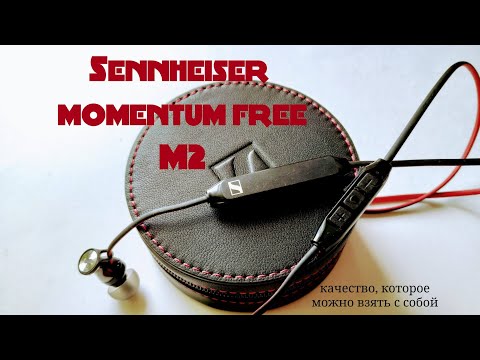 Sennheiser Momentum Free M2 IEBT SW Black
