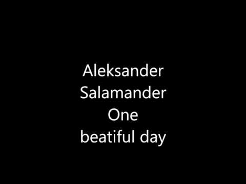 Aleksander Salamander - One beautiful day