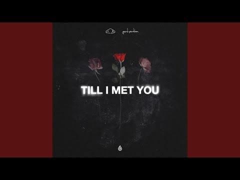Till I Met You