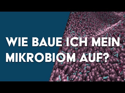 Wie baue ich mein Mikrobiom (Darmflora) richtig auf? Proktlologe klärt auf