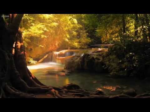 Willy Sopacua (JP Band) - Beta Rindu ( Lagu Ambon Terbaru 2019 )