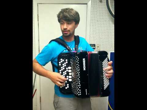 Hohner Nova III 96 bass C system chromatic SOLD