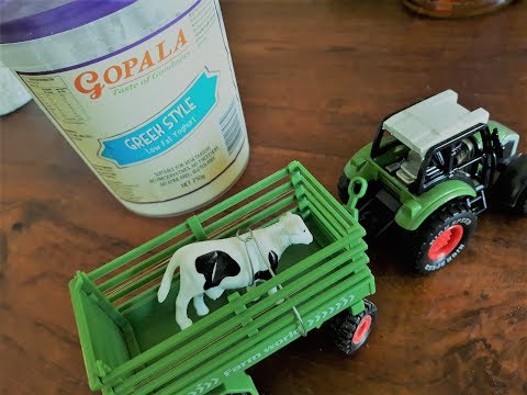 download lagu mp3 mp4 Fat Free Yoghurt Nz, download lagu Fat Free Yoghurt Nz gratis, unduh video klip Fat Free Yoghurt Nz