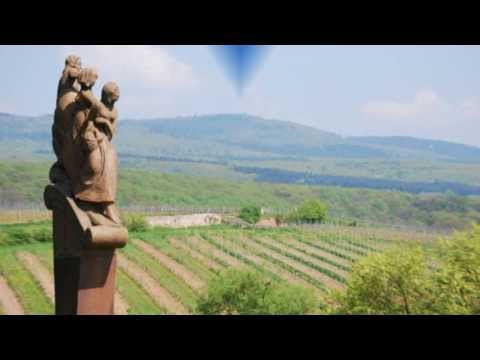 Die schöne Seite des Rheingaus