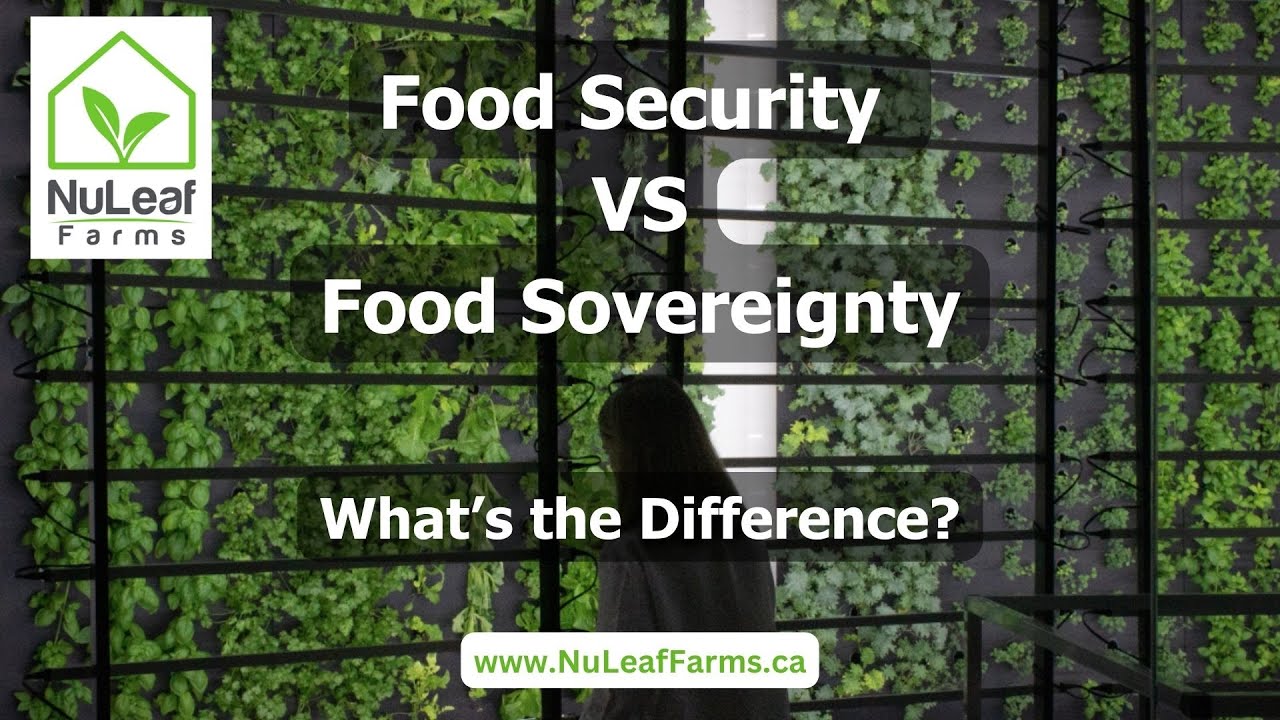 Food Security vs Food Sovereignty- What's the difference #foodsecurity #foodsovereignty #food