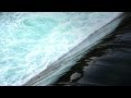 Shaina Noll ~Listen, Listen 
