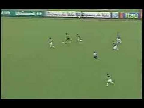 Botafogo 3x0 Santa Cruz BR06 MELHORES MOMENTOS