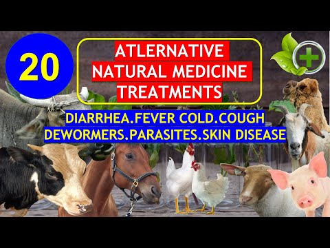 , title : 'The 20 Alternative Natural Medicine Treatments for | Pig | Cattle | Goat |  Sheep | Chicken  | Horse'