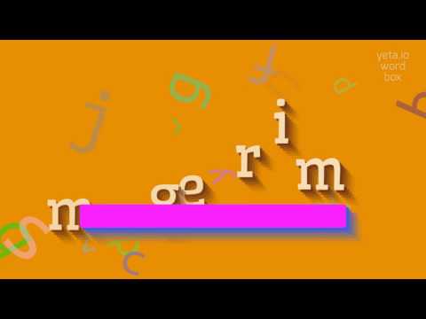 How to say "megrim"! (High Quality Voices)