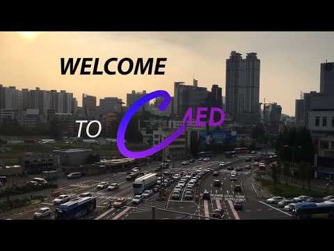 Cranial Nerve X Vagus