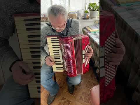 Weltmeister piano accordion, 7/8 accordion, 96 Bass, 37 keys, 3 voices, 5+3 registers, You can buy