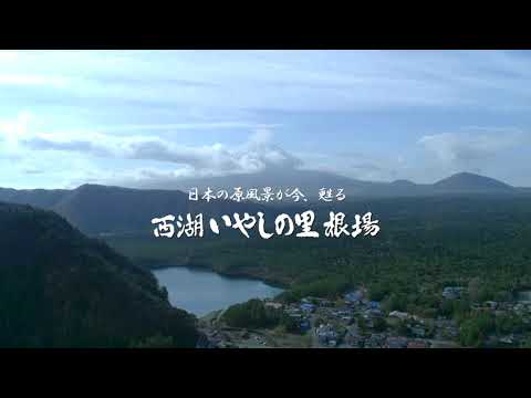 西湖いやしの里 桜編