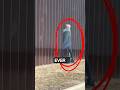 Why the US-Mexico Border Wall Has Holes? #shorts #usashorts #borderwall