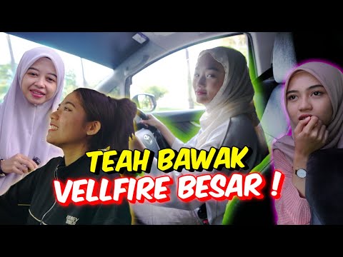 TEAH BAWAK VELLFIRE BESAR ! - AIRA,ELYA,CUNA NERVOUS