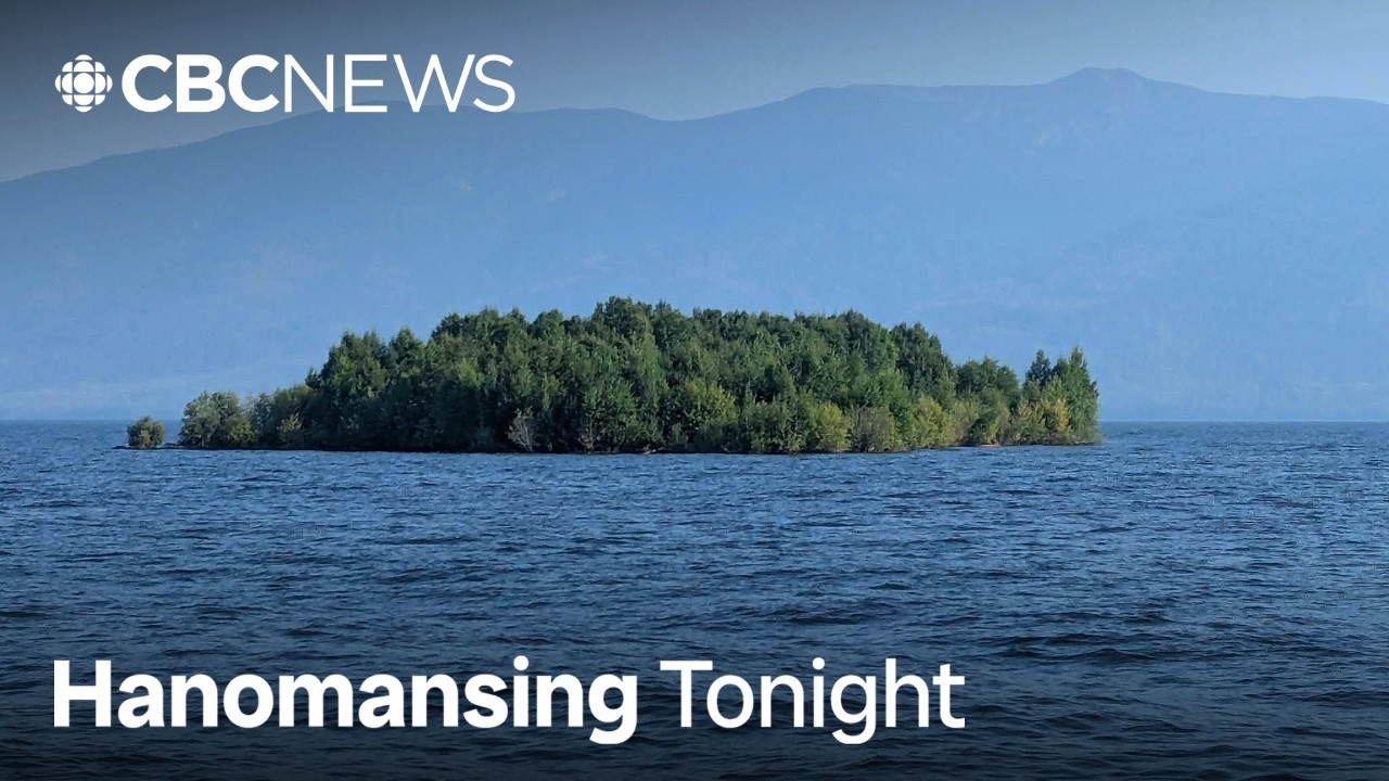 Massive floating island appears, disappears, reappears in British Columbia reservoir