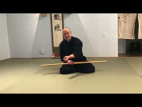 Aikido: Lecture on Aikido's Defining Elements and Intensified Kihon Waza Training
