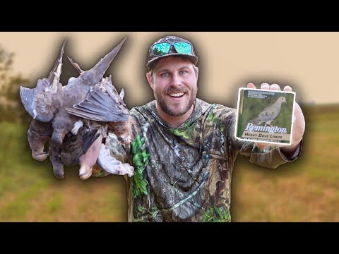 One Box Dove Hunting Challenge (Part 2) | LIMITED OUT!