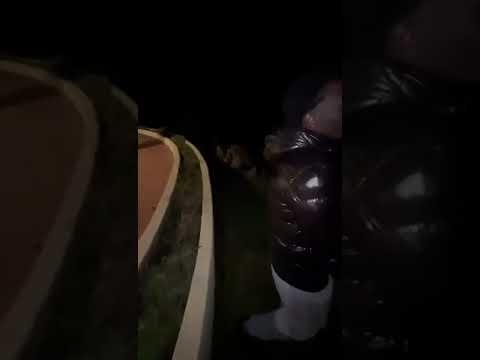 G.issa Free all my slime’s