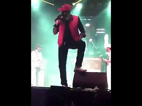 LT. STITCHIE LIVE AT MONTRÉAL REGGAE FESTIVAL 2017