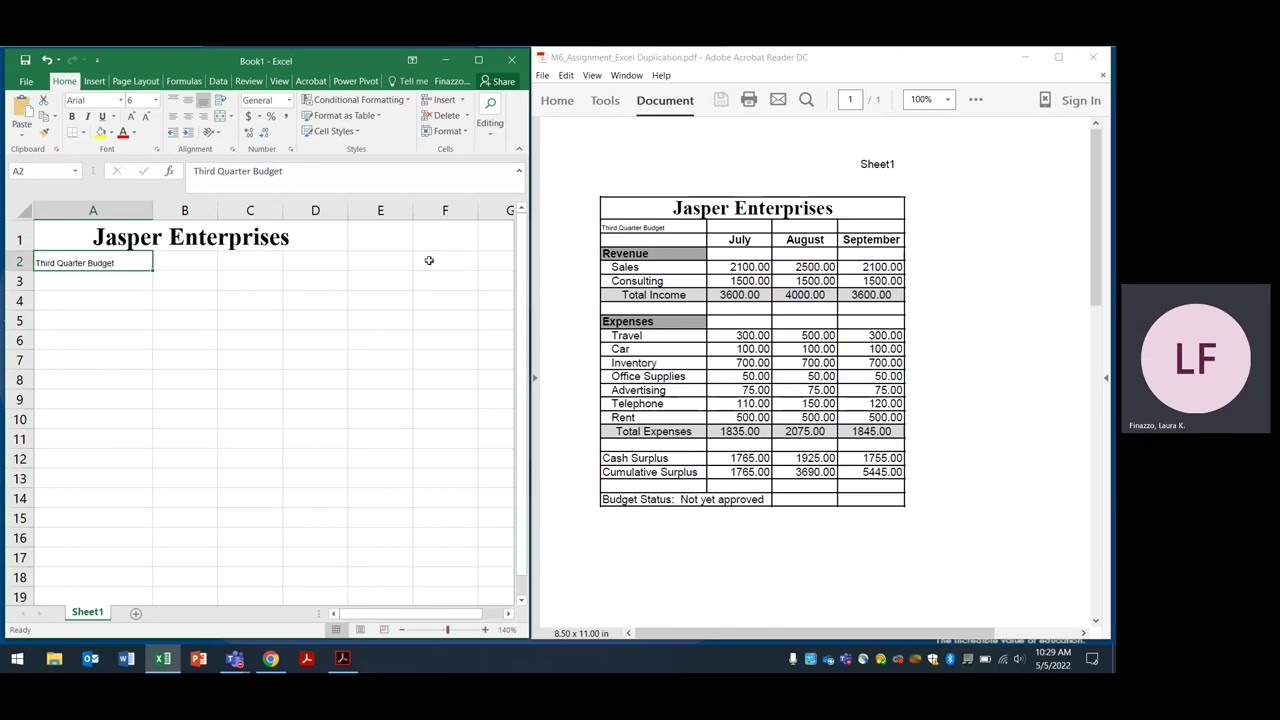 Module 6 Microsoft Excel Duplication Activity Tutorial