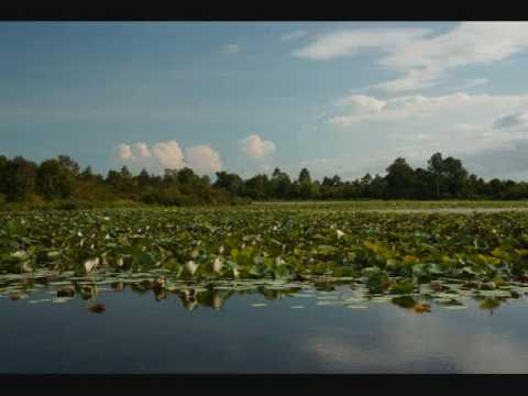 Meas Somaly vs Noy Vanneth