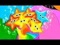 Por Favor Pt 3 Dora A AVENTUREIRA Doratheexplorer Desenhosdainfancia Fy Viral