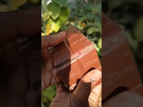 Cadbury bournville cranberry chocolate #shorts