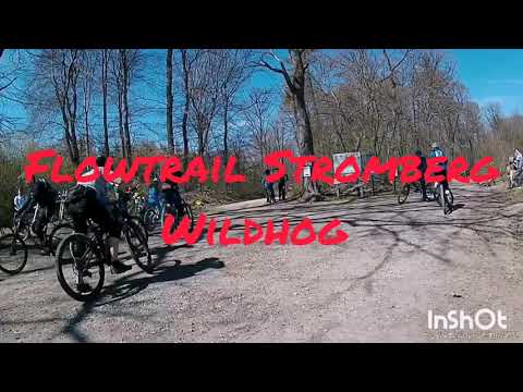 Flowtrail Stromberg 2021| Wildhog | Bikepark| E MTB