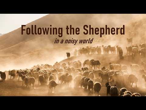 FOLLOWING THE SHEPHERD