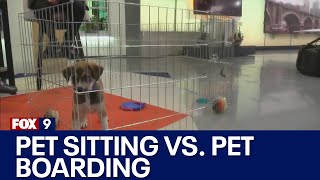 Pet sitting vs. pet boarding facilities: Advice from the animal humane society