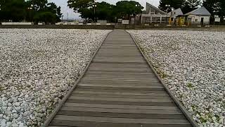 りんくう公園を散歩③