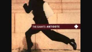 The Gamits - Like White Noise