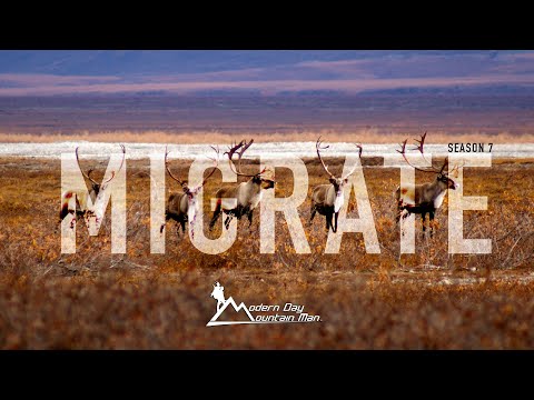 MIGRATE | Alaskan Caribou Hunting Adventure - Season 7