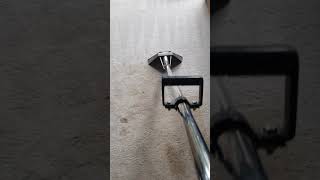 Hot water extraction carpet cleaning