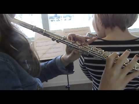 Tværfløjte i Favrskov Musikskole