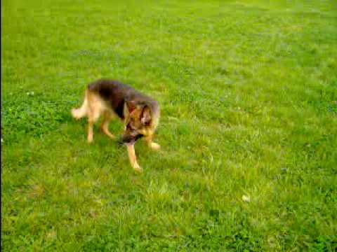 Happy End für Sandy (Yurena)