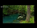 Native music, rain and in creek rolling. I have no copyright to this just sharing - Possum__Trot Native music, rain and in creek rolling. I have no copyright to this just sharing