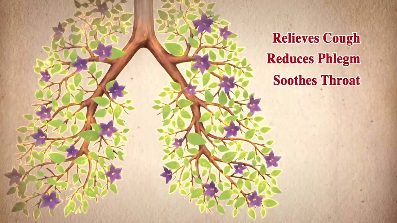 Nin Jiom Pei Pa Koa TV Commercial - Dad (English)