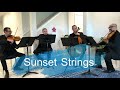Sunset Strings' quartet performs "Speechless" by Dan + Shay