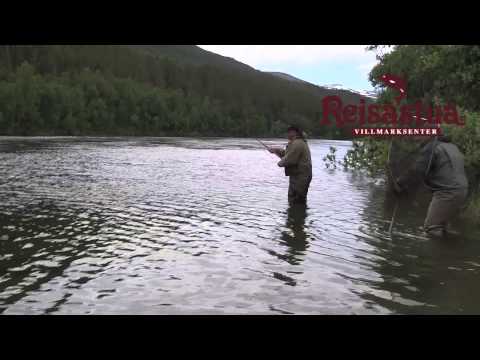 2013 Scott Mackenzie 14 kg