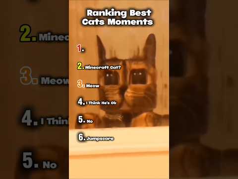Ranking Best Cats Moments