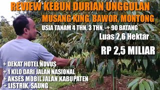 Download lagu FOR SALE: 2.6 Hectare Premium Durian Garden, Musang King Bawor Montong || IDR 2.5 Billion mp3 Download lagu FOR SALE: 2.6 Hectare Premium Durian Garden, Musang King Bawor Montong || IDR 2.5 Billion mp3