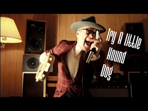 Try A Little Hound Dog - Son Of Dave official video