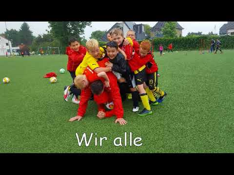 Neuer Kunstrasen für Westönnen!